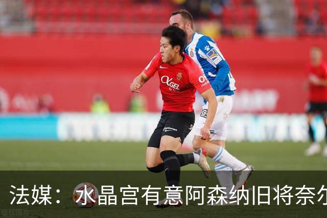 法媒：水晶宫有意阿森纳旧将奈尔斯，他与里昂合同还剩1年