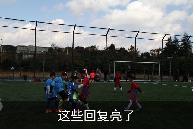 这些回复亮了